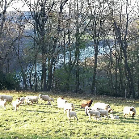 Burgberghaus Auwald * הורטגנוואלד