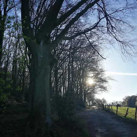 דירה Burgberghaus Auwald הורטגנוואלד