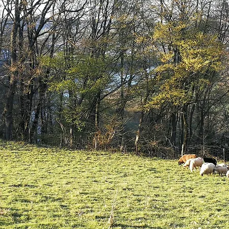 Burgberghaus Auwald דירה *