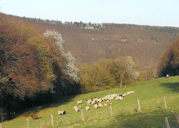 Burgberghaus Auwald * Hürtgenwald
