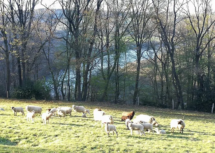 Burgberghaus Auwald * Hürtgenwald