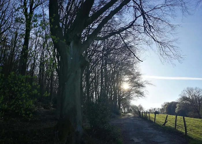 Apartmán Burgberghaus Auwald Hürtgenwald