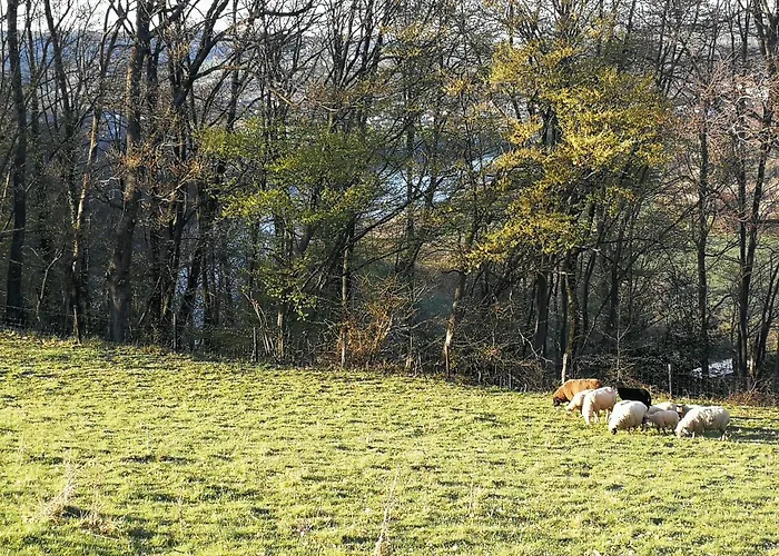 Burgberghaus Auwald Apartmán *